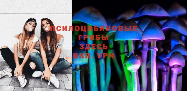 гидра Белоозёрский