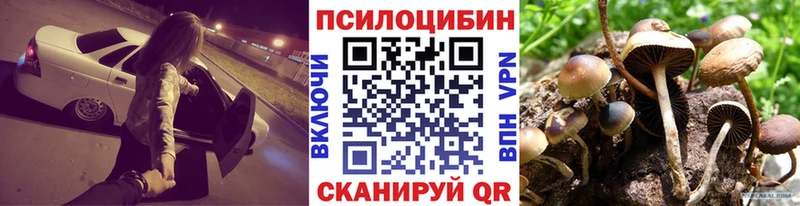 Псилоцибиновые грибы Cubensis  Малмыж 